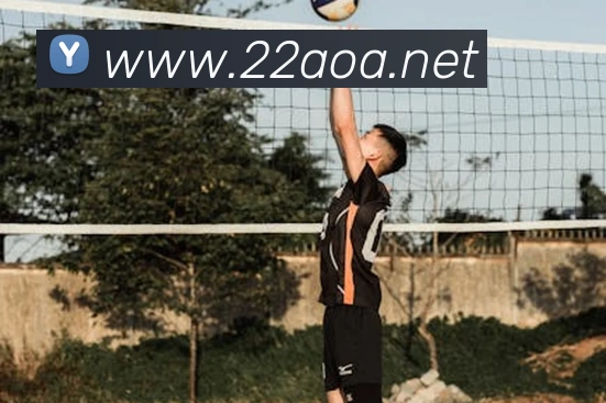 AOA sports官网平台生态图
